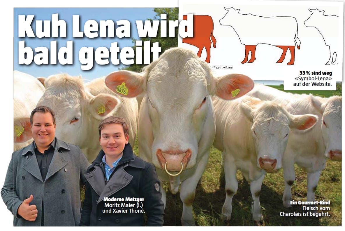 Blick am Abend: Kuh Lena wird bald geteilt