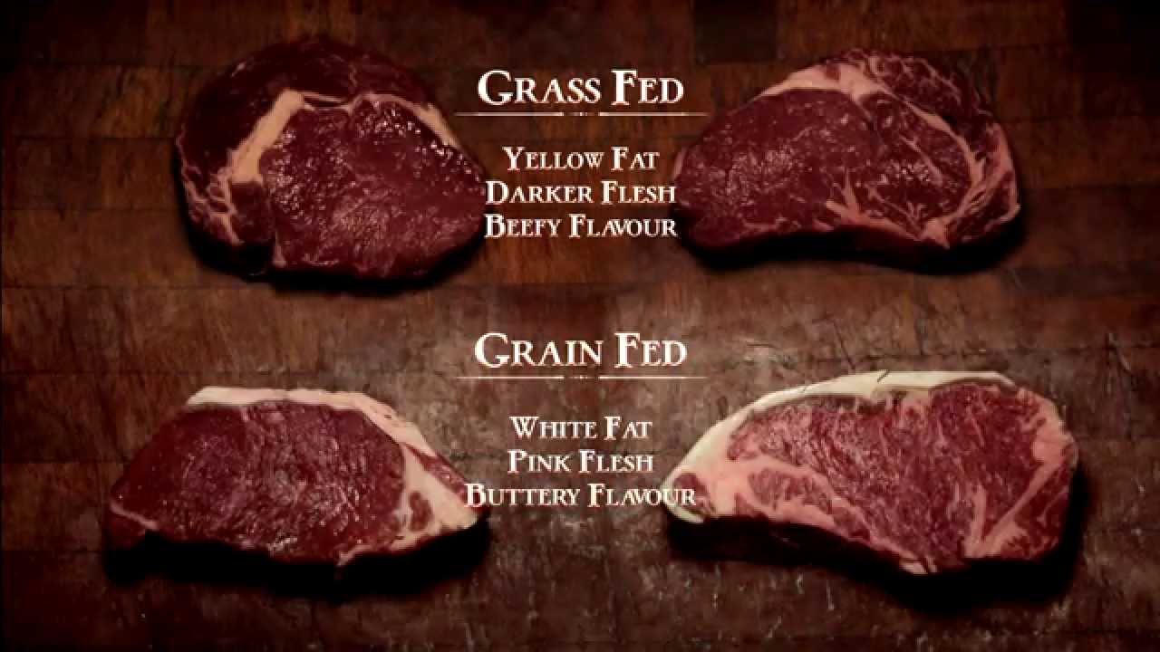 Was ist eigentlich der Unterschied zwischen Weide Beef und herkömmlichen (Corn-Fed) Beef?