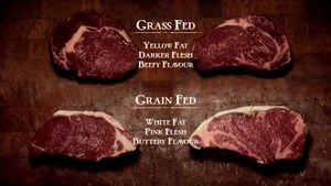 News: Was ist eigentlich der Unterschied zwischen Weide Beef und herkömmlichen (Corn-Fed) Beef?