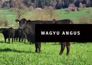 Wagyu Angus